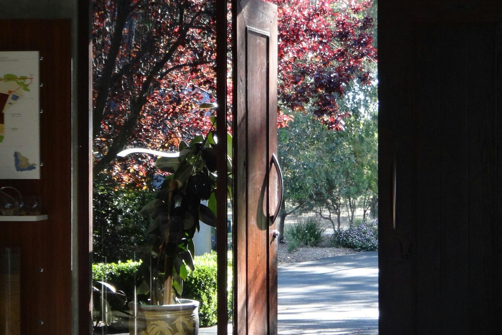 A wooden door standing open onto a sunlit garden